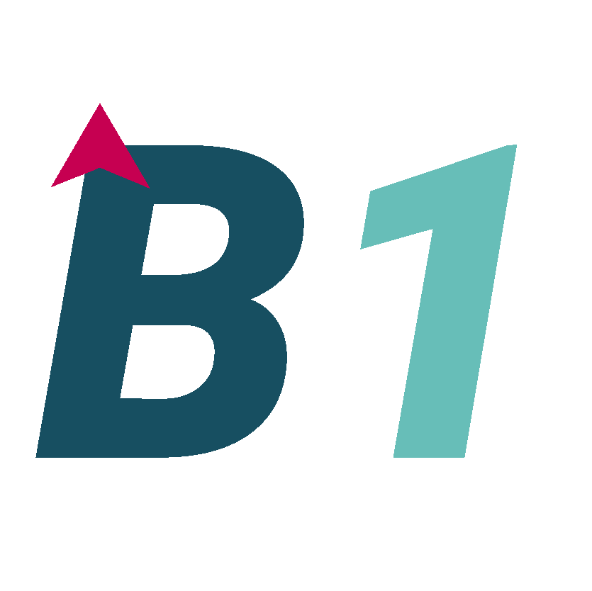 b1